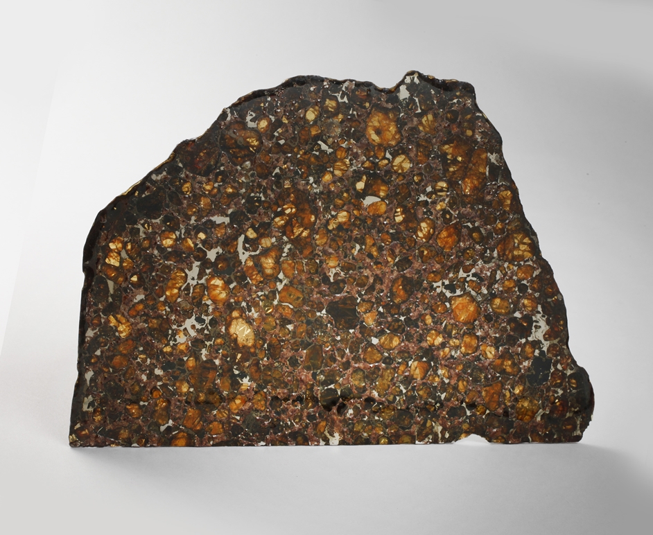 Meteorite Brahin Pallasite