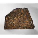 Meteorit Brahin Pallasit