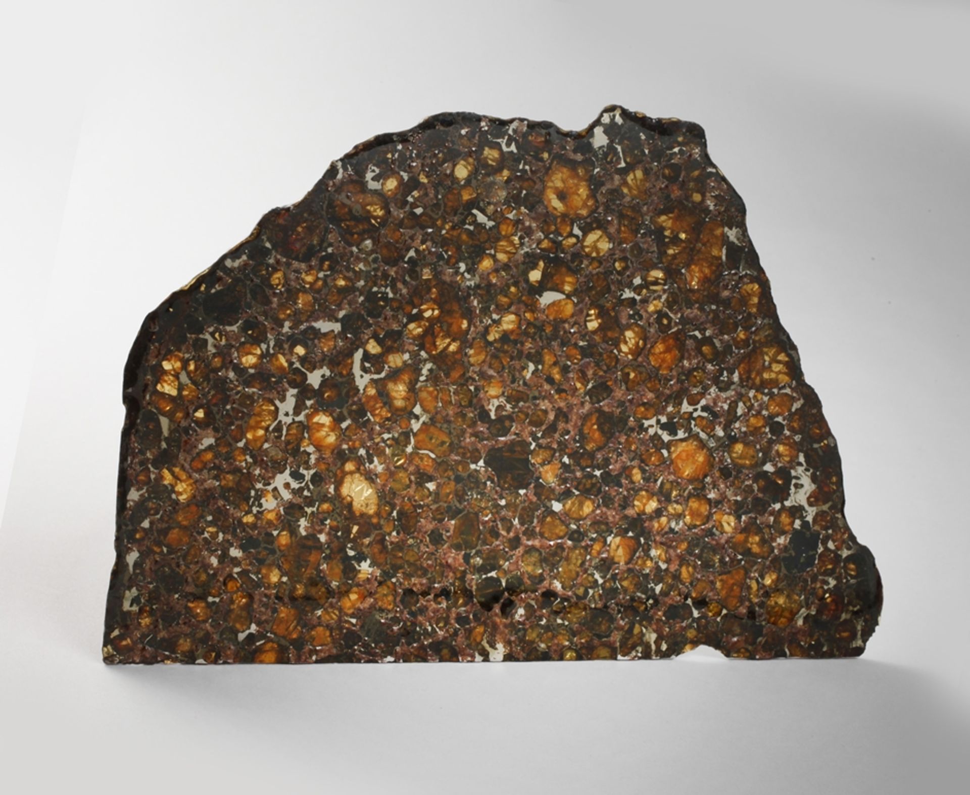 Meteorit Brahin Pallasit
