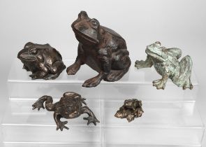 Small frog collection