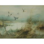 Arnold SCHATZ (1929 - c.1999). Teichlandschaft mit 4 aufsteigenden Enten.