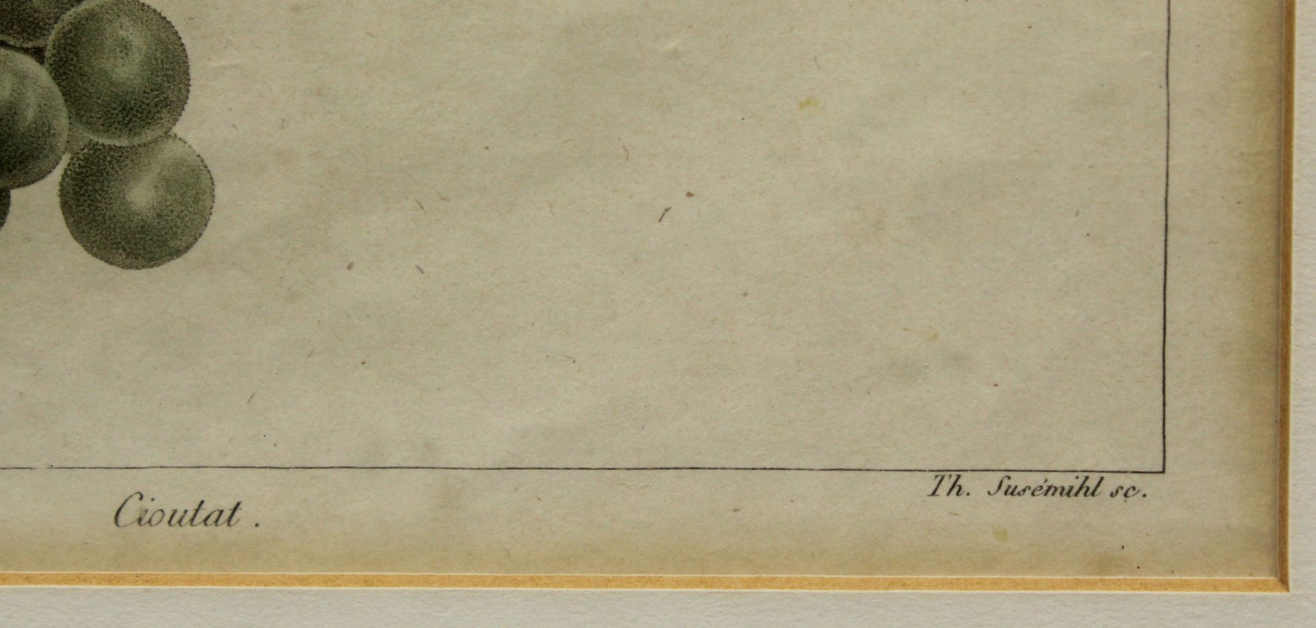 Johann Theodor SUSEMIHL (1772 - ?). 2 Blatt Kupferstiche. - Bild 6 aus 7