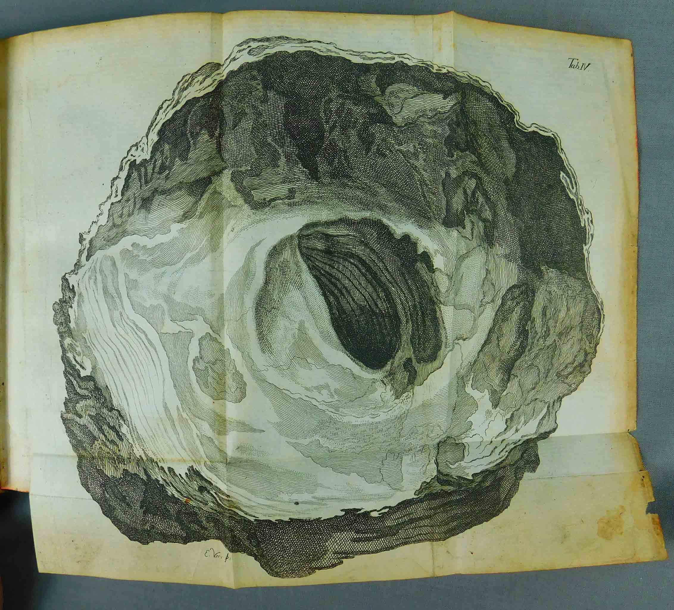 C. Collini. Tagebuch einer Reise. 1777. - Bild 8 aus 16