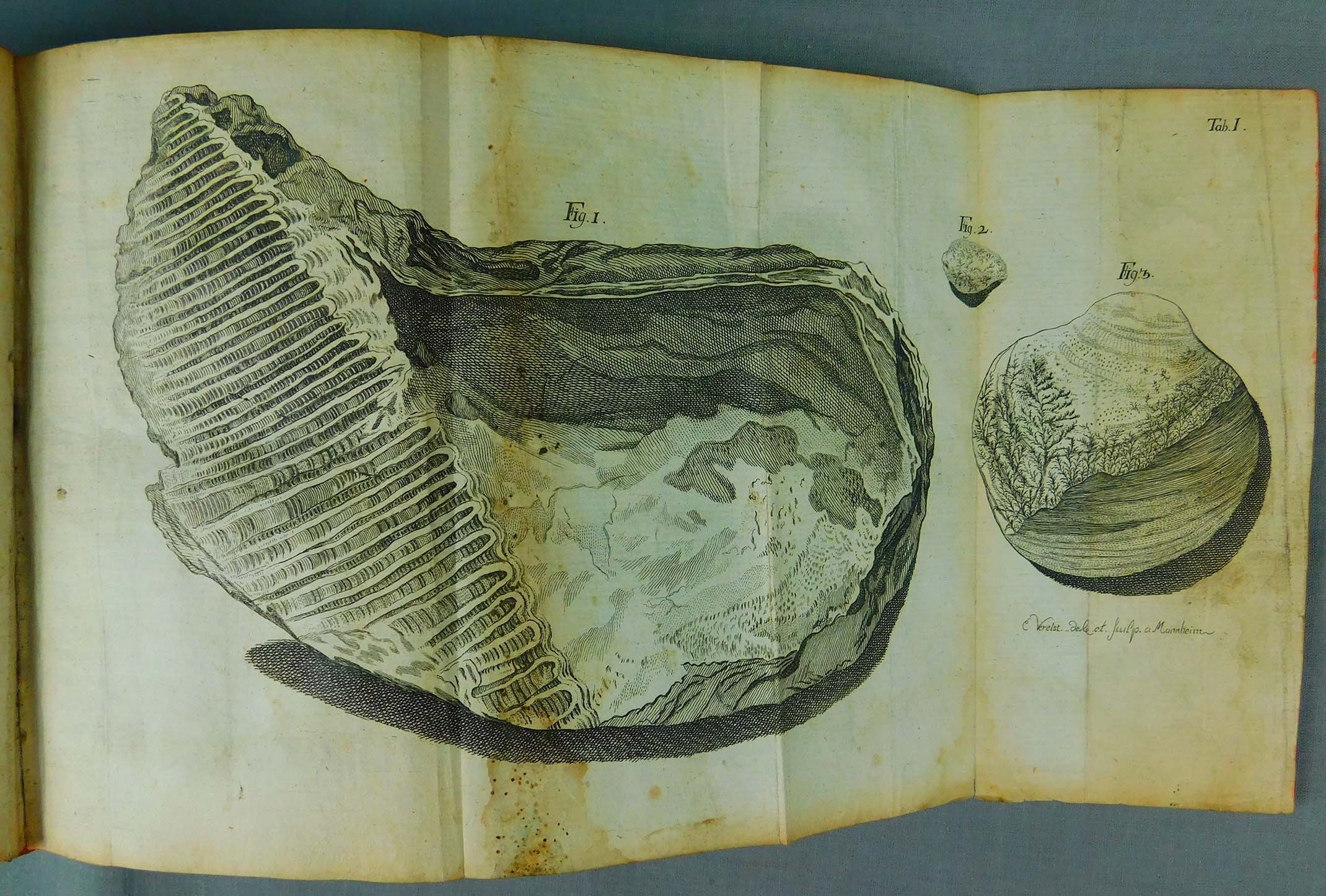 C. Collini. Tagebuch einer Reise. 1777. - Image 6 of 16