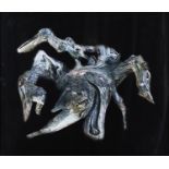 PHOTOGRAPH OF A CRAB BY LUCIANO RUGGERI 2023