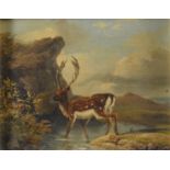 NORDIC OIL PAINTING 19th CENTURY