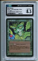 Magic: The Gathering - Niall Silvain Artist Proof - The Dark - CGC 8.5