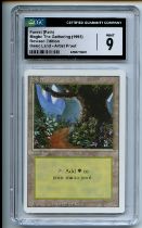 Magic: The Gathering - Forest (Path) Artist Proof - Revised - CGC 9