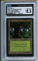 Magic: The Gathering - Forest (Eyes) Artist Proof - Limited Edition Beta - CGC 8.5