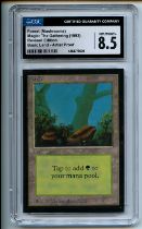 Magic: The Gathering - Forest (Mushrooms) Artist Proof - Limited Edition Beta - CGC 8.5