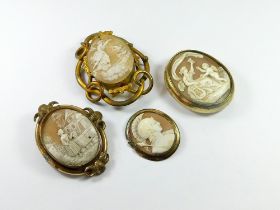 CAMEO BROOCHES.