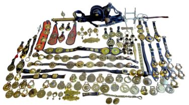 A collection of horse brasses, including Victorian examples, loose and on leather straps, together