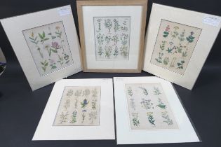 Culpeper's Complete Herbal, 1834, a collection of five hand coloured bookplates, published by T.