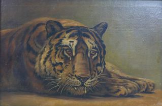 Continental School (20th century): a tiger, unsigned, oil on canvas, 40 by 60cm, in bamboo effect