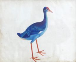Chinese school (19th century): A purple water hen watercolour, unsigned, 26 by 32cm, glazed and in