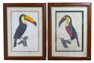 After Jacques Barraband (French 1767-1809) two coloured engravings of Two Toucans, Le Coco no6 and