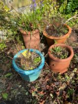 A group of chimney pots and planters.