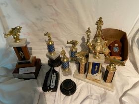 A collection of fishing trophies