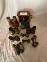 Collection of binoculars