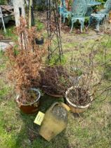 A planter, and garden pots, etc.