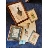 Watercolour of ducks, pencil of boats, framed postcards, print of fish