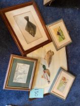 Watercolour of ducks, pencil of boats, framed postcards, print of fish