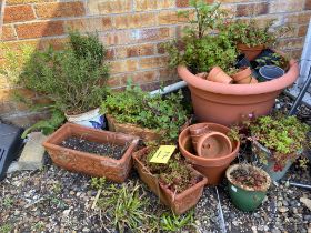 A group of pots and planters.