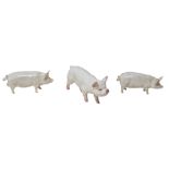 Three Beswick figurines of pigs, comprising a Middlewhite, 9.5cm high, a 'Ch Wall Queen' and 'Ch
