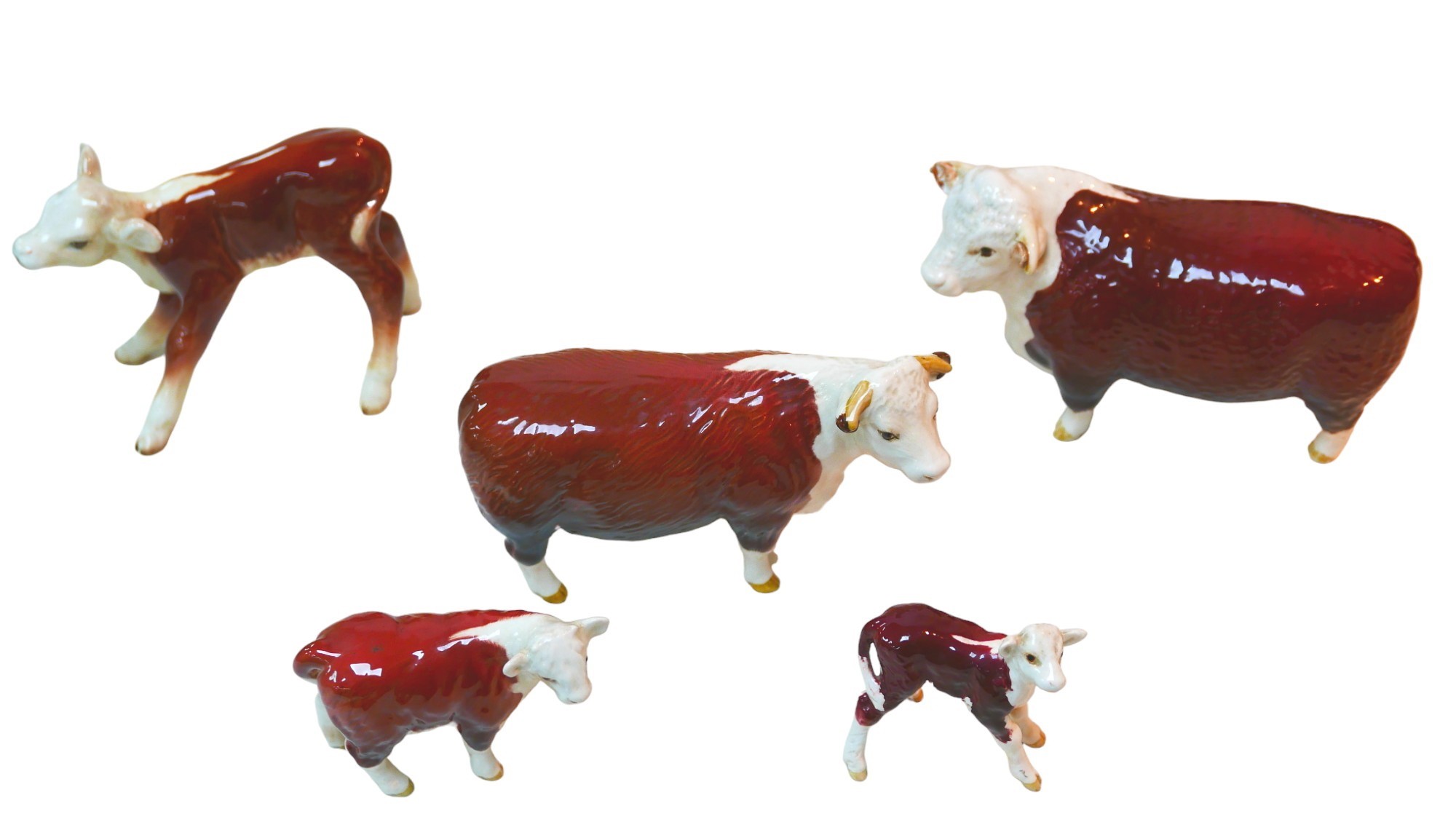 Five Beswick Hereford cattle figurines, comprising 'Champion of champions' Bull, 11.5cm high, a