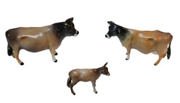 Three Beswick figurines of Jersey cattle, comprising bull 'Dunsley Coy Boy', 11cm high, a cow '