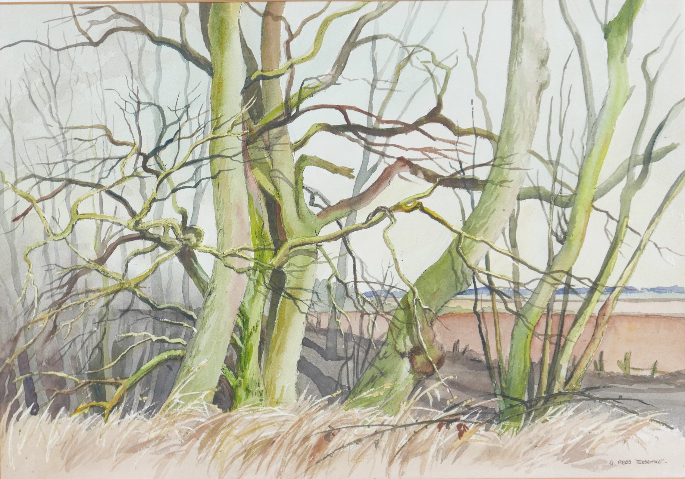 Gladys Rees Teesdale (British, 1898-1985): a pair of landscape watercolours, entitled 'Trees - - Image 12 of 16