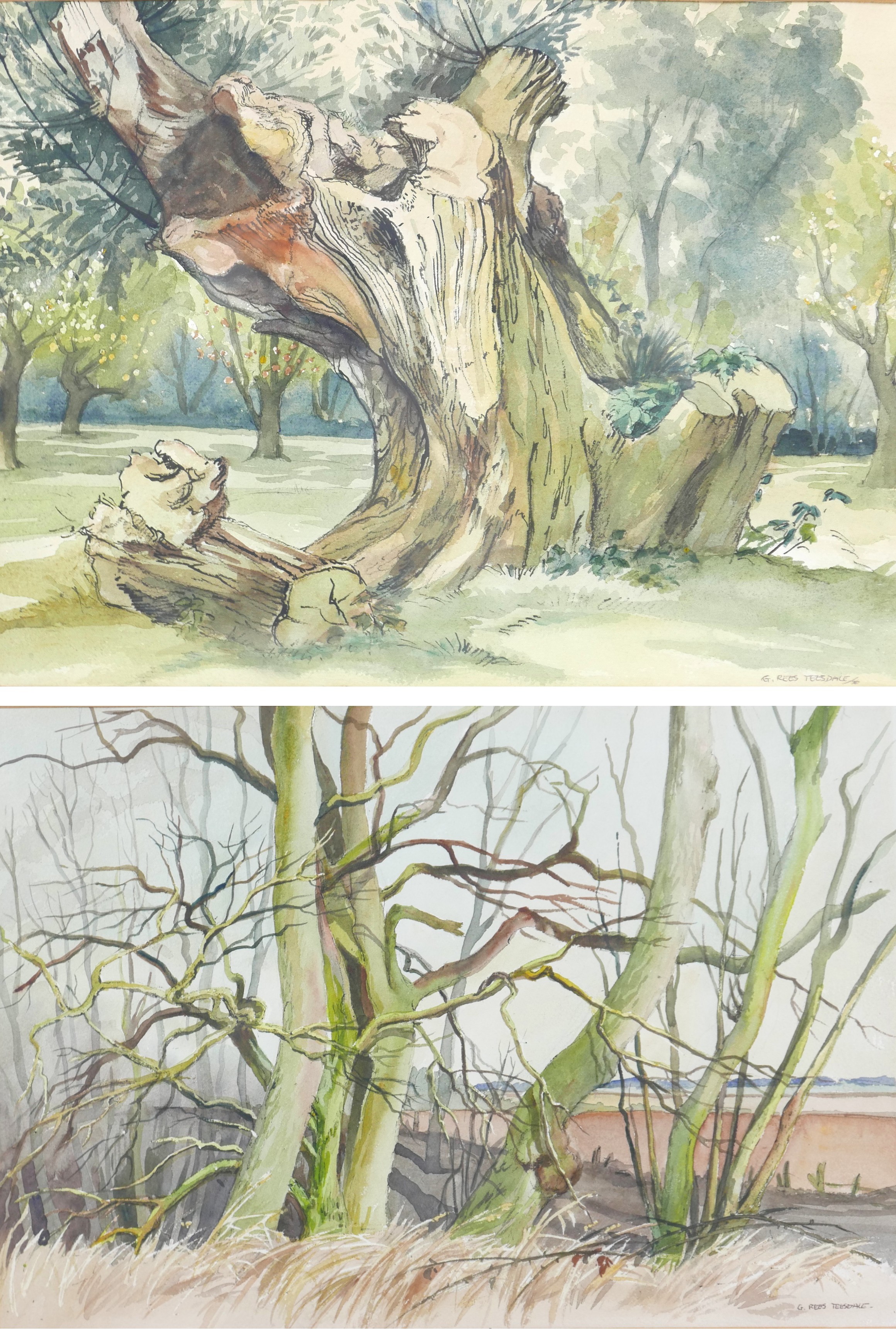 Gladys Rees Teesdale (British, 1898-1985): a pair of landscape watercolours, entitled 'Trees -