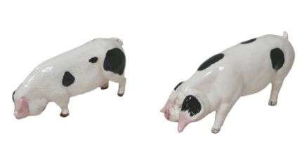 Two Beswick figurines of Old Spot pigs, both sows, largest 8.5cm high, smallest, 7.5cm high. (2)