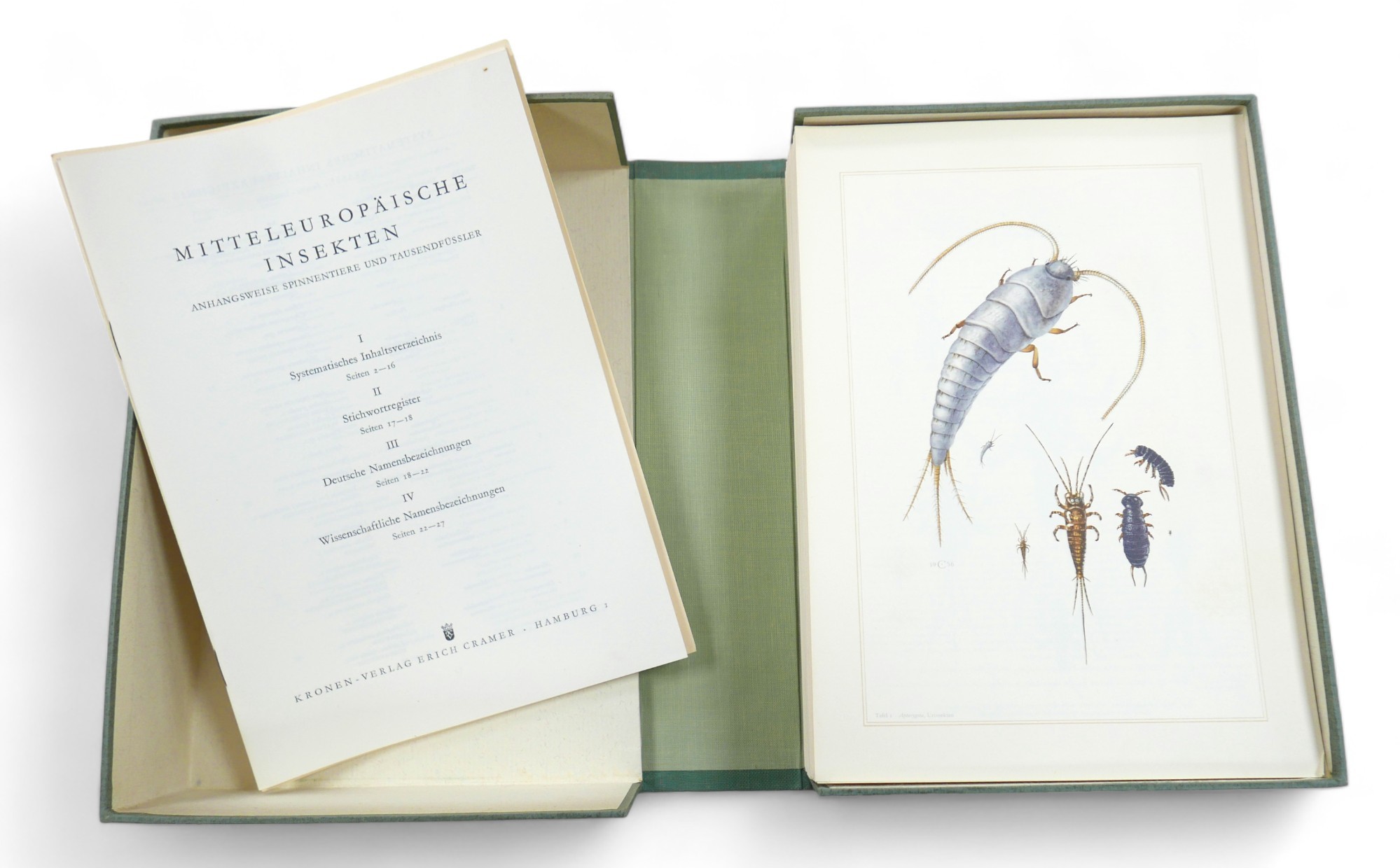 Natural history five folios in German including birds, insects, fauna and animals. Also Fr Berge's - Image 15 of 17