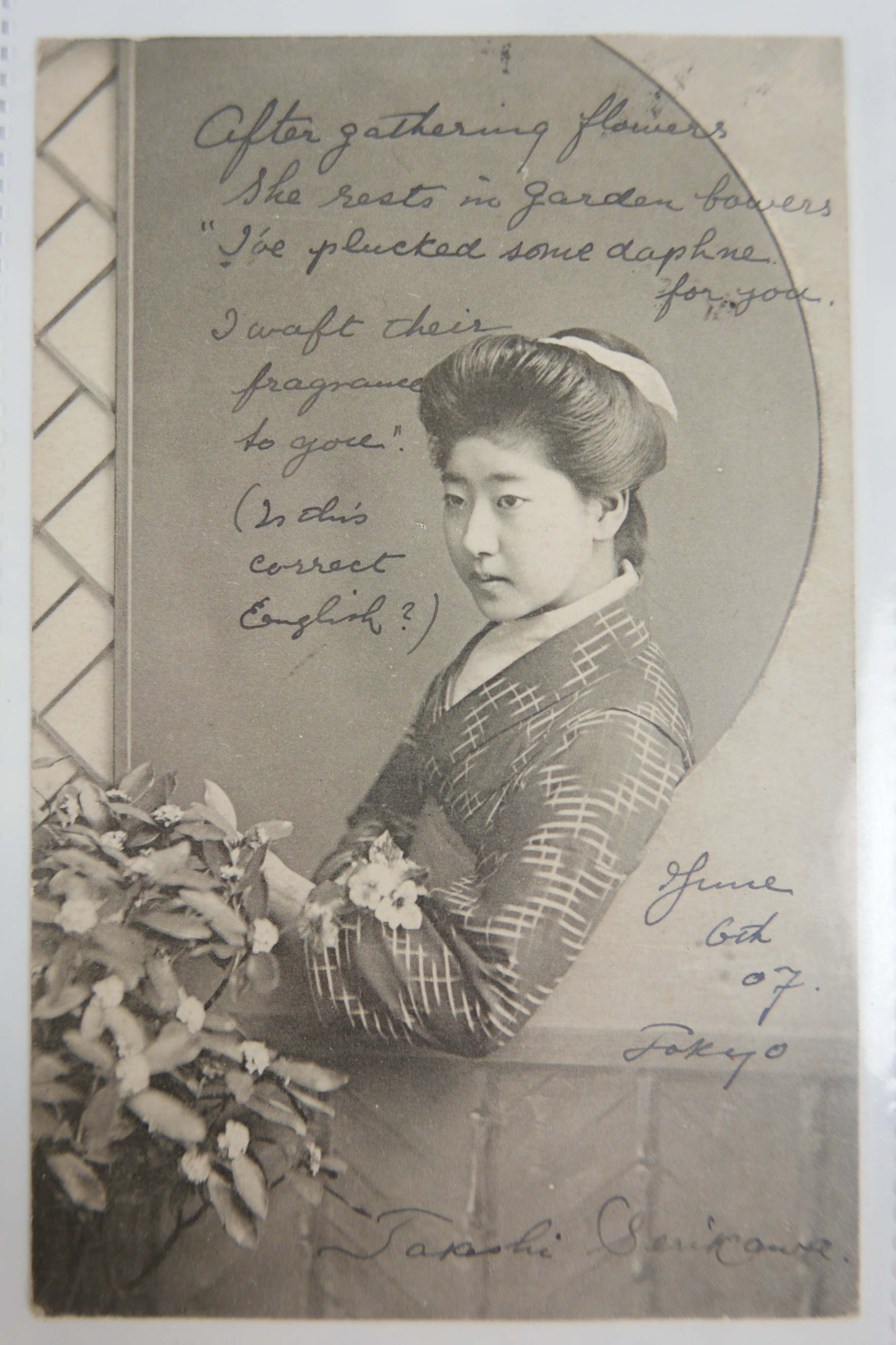 An incredible collection of early 1900's hand written Japanese postcards from Takeshi Serikawa to Mt - Image 12 of 21