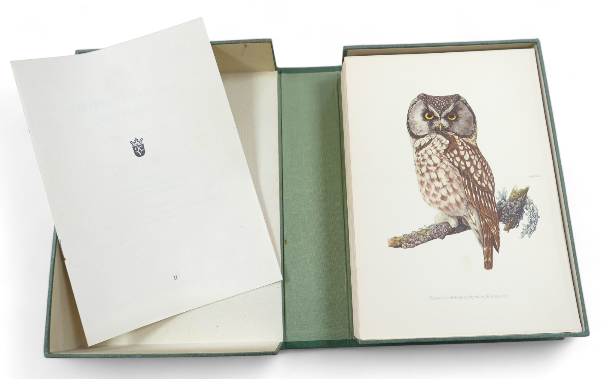 Natural history five folios in German including birds, insects, fauna and animals. Also Fr Berge's - Image 12 of 17