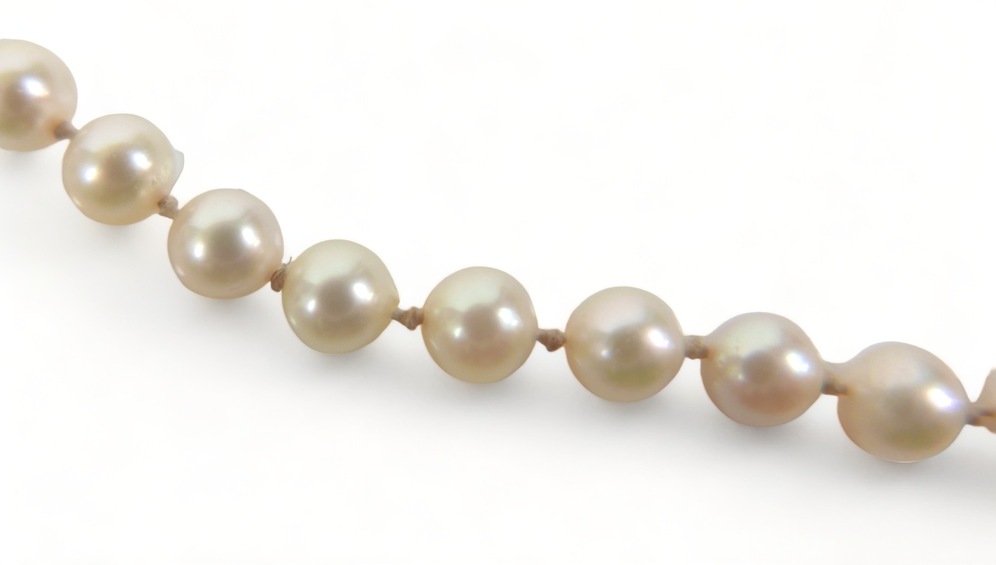 A pearl necklace, with 9ct gold clasp, single string of individually knotted evenly sized pearls, - Image 3 of 5
