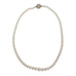 A single string graduating pearl necklace with a 9ct yellow gold clasp, pearls graduating from 5mm