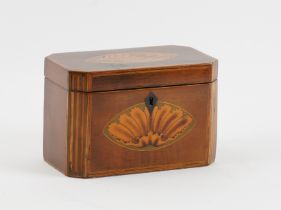 A GEORGE III SHELL MARQUETRY INLAID SATIN WOOD CANTED RECTANGULAR TEA CADDY