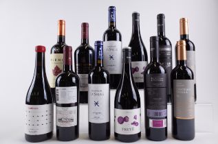 12 BOTTLES SPANISH RED WINE