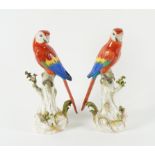 A LARGE PAIR OF MEISSEN PORCELAIN PARROTS (2)