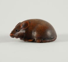 A JAPANESE WOOD NETSUKE OF A RAT SIGNED TOMOKAZU. GIFU