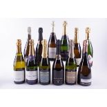 12 BOTTLES FRENCH AND PORTUGUESE SPARKLING WINE