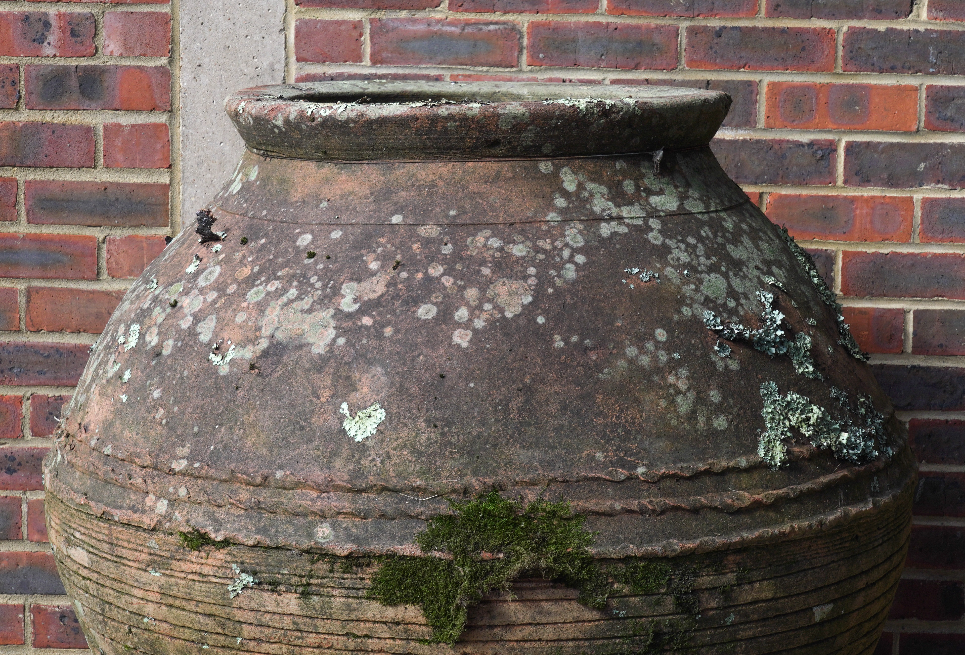 A LARGE TERRACOTTA OIL JAR - Image 3 of 4