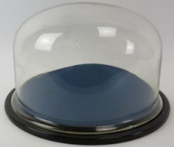 A vintage domed glass display stand. 35.2 cm diameter. Condition report: Some age related wear.