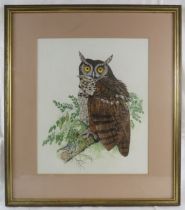 P.R. Hobson (1982) - 'Owl perched on a branch', watercolour, signed and dated 1982, 35cm x 29cm,