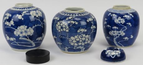 Three Chinese blue and white ginger jars, 19th century. Of ovoid form and decorated with