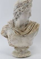 A Brucciani & Co of London plaster cast bust of Apollo Belvedere. 33.3 cm height. Condition report: