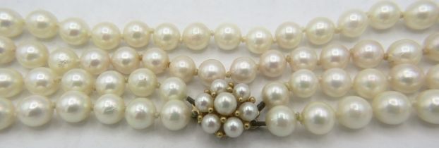 A double strand individually knotted pearl necklace on a 9ct yellow gold pearl clasp, makers JKa.