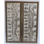 A pair of vintage German maps of the Rhine river. Framed and glazed. (2 items) 86 cm x 28 cm.
